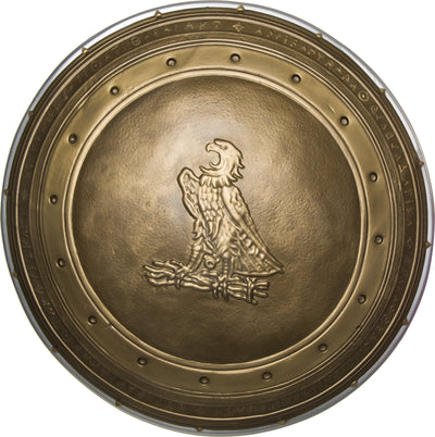Wonder Woman 24 Shield