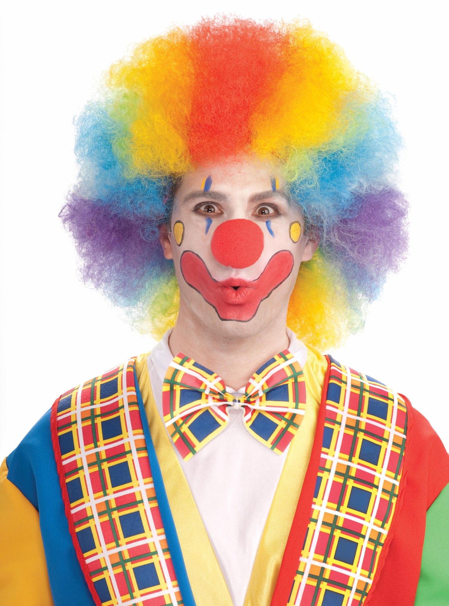Colorful Afro Wig Deluxe