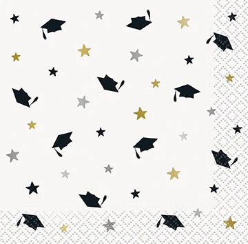 Grad Napkins x 16 uni