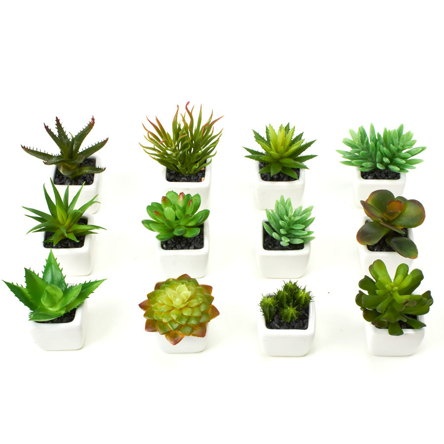 Suculentas Artificiales 12 Unidades