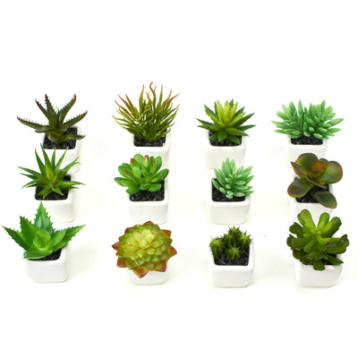 Suculentas Artificiales 12 Unidades