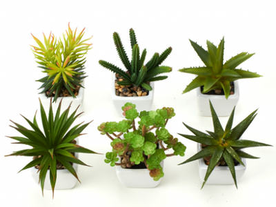 Plantas Suculentas Artificiales x 6 Unidades